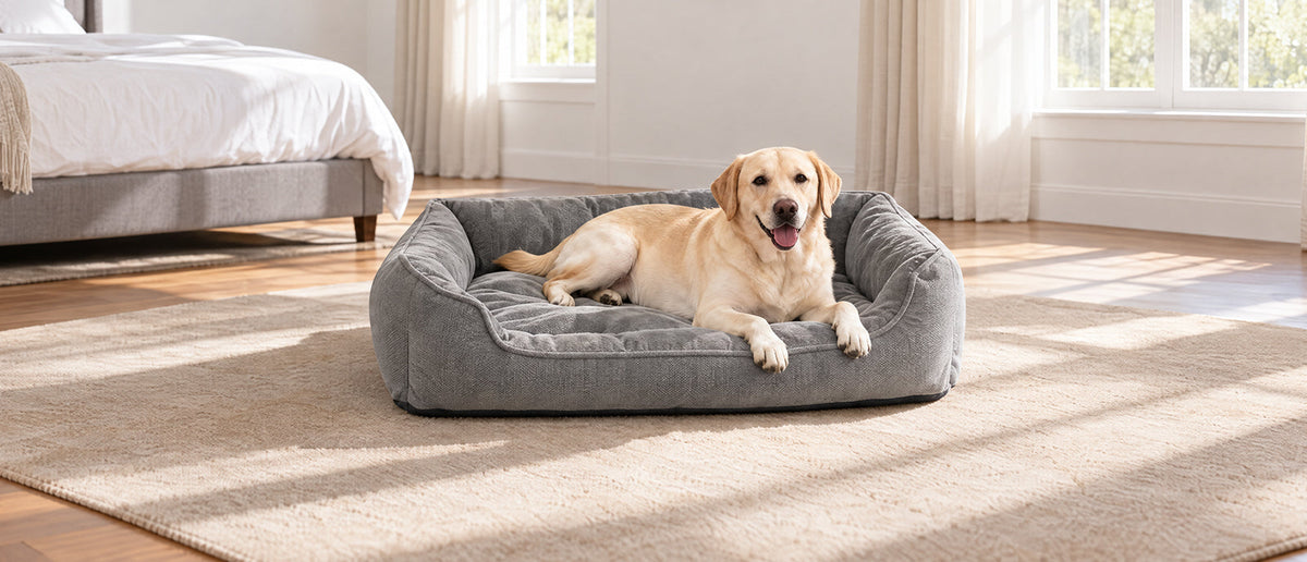Hundebetten