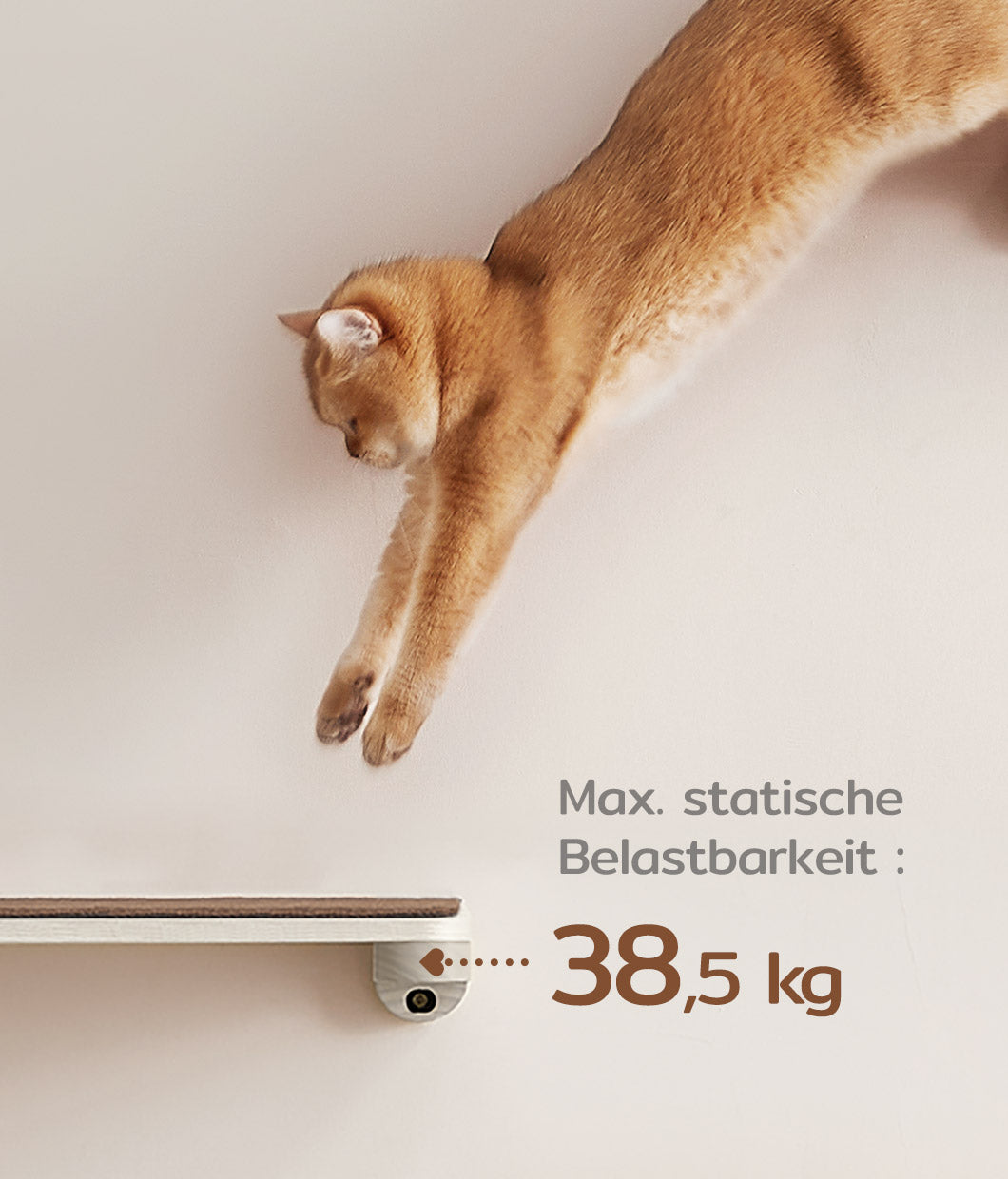 Katzenmöbel zur Wandmontage - 20230918 173219 Katzenmöbel zur Wandmontage - 20230918 173219