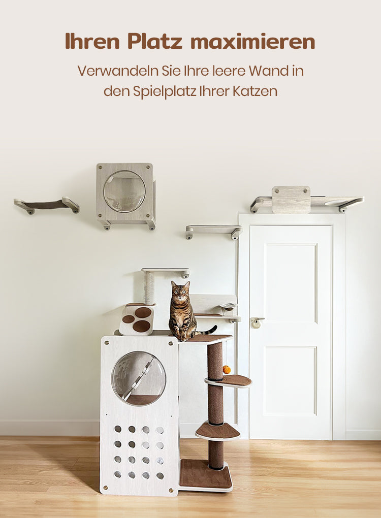 Katzen Wandregal Mit Kratzpad – 2 Eckregale & 3 Stufen, Für Katzen Bis 6,8 Kg, Platzsparend & Stabil