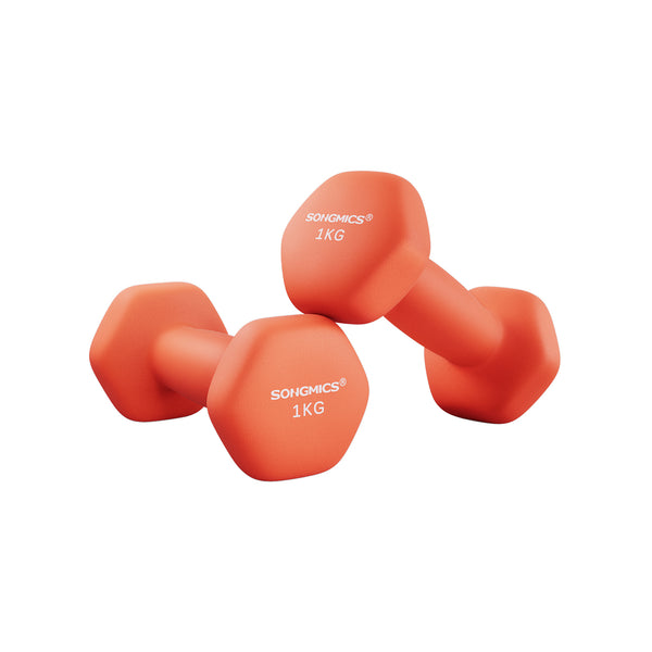 Kurzhanteln 2er-Set orange