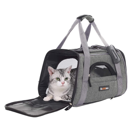 Bild von Hundetasche leicht schwarz